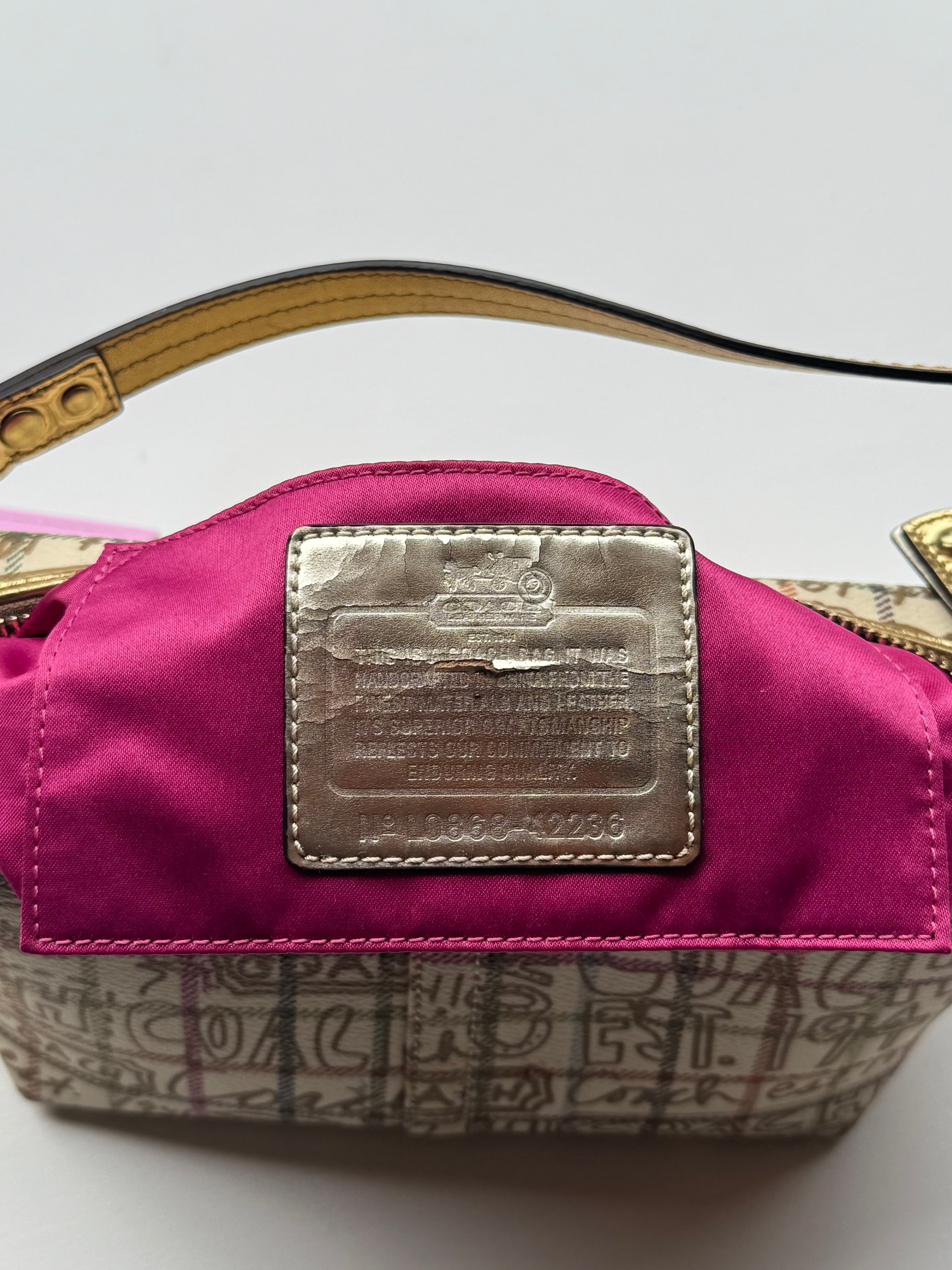 Vintage Coach Graffiti Teri Bag