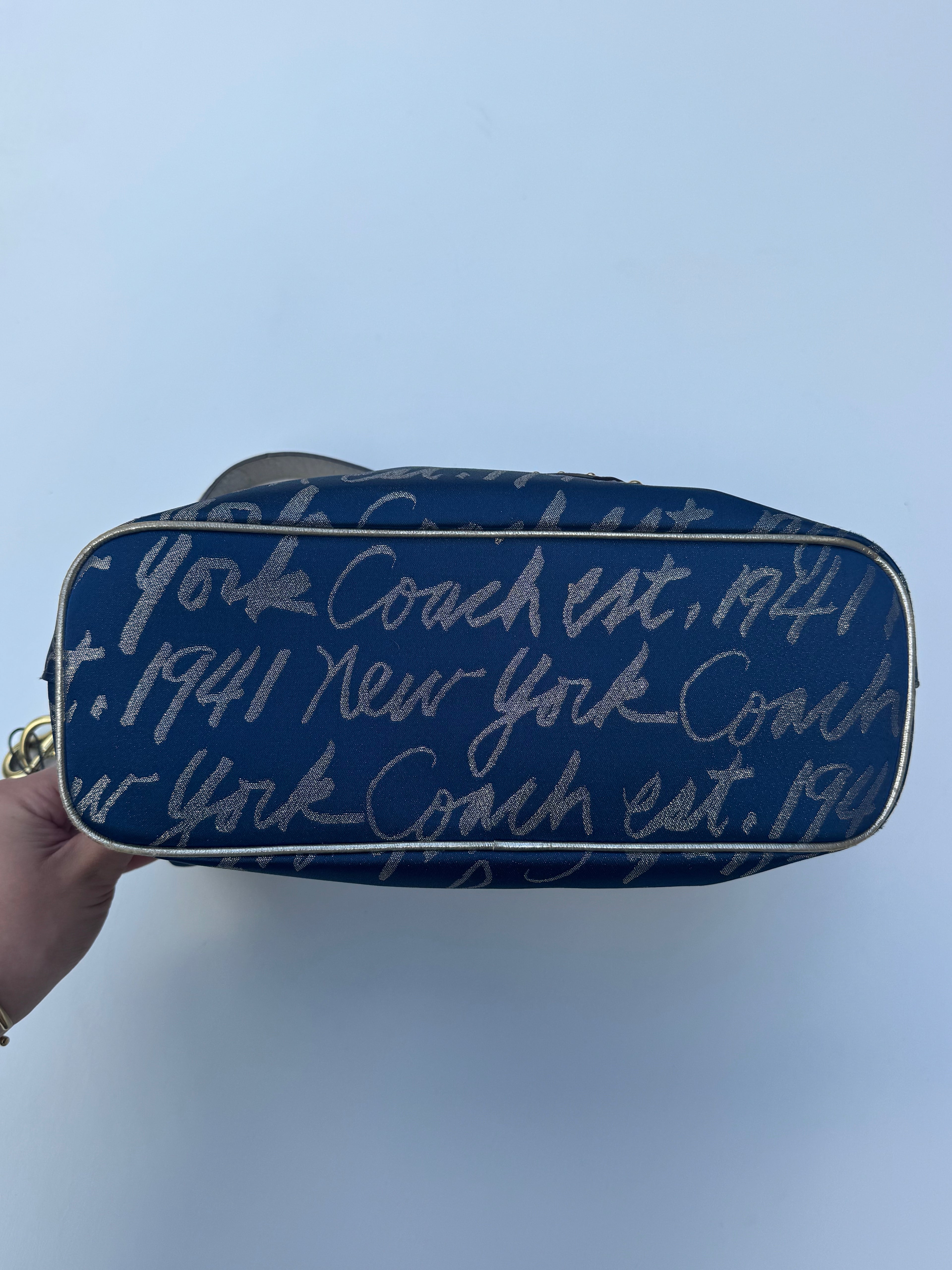 Vintage Coach x Poppy New York Hobo Bag