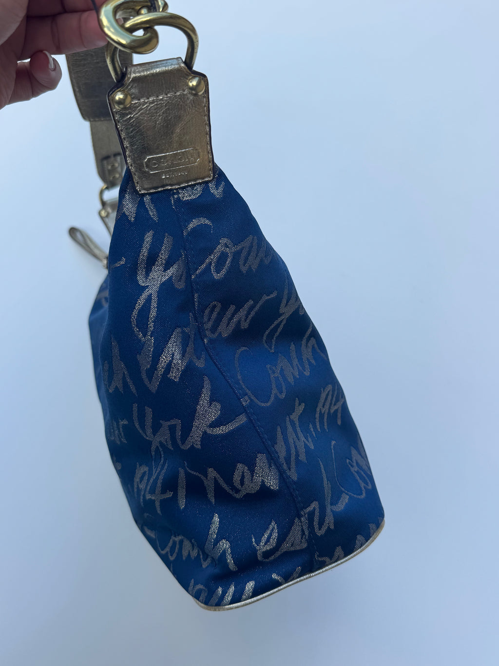 Vintage Coach x Poppy New York Hobo Bag