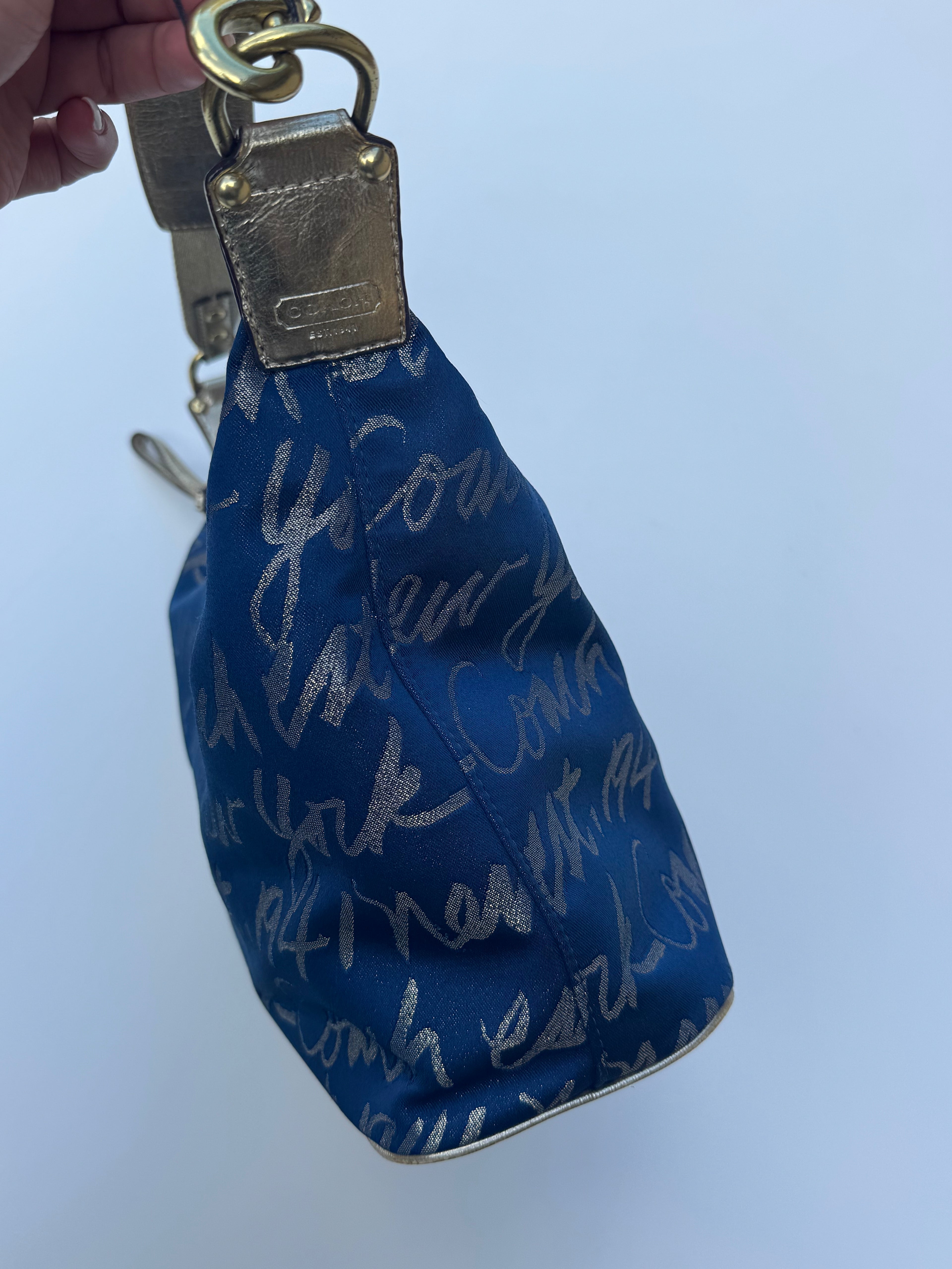 Vintage Coach x Poppy New York Hobo Bag