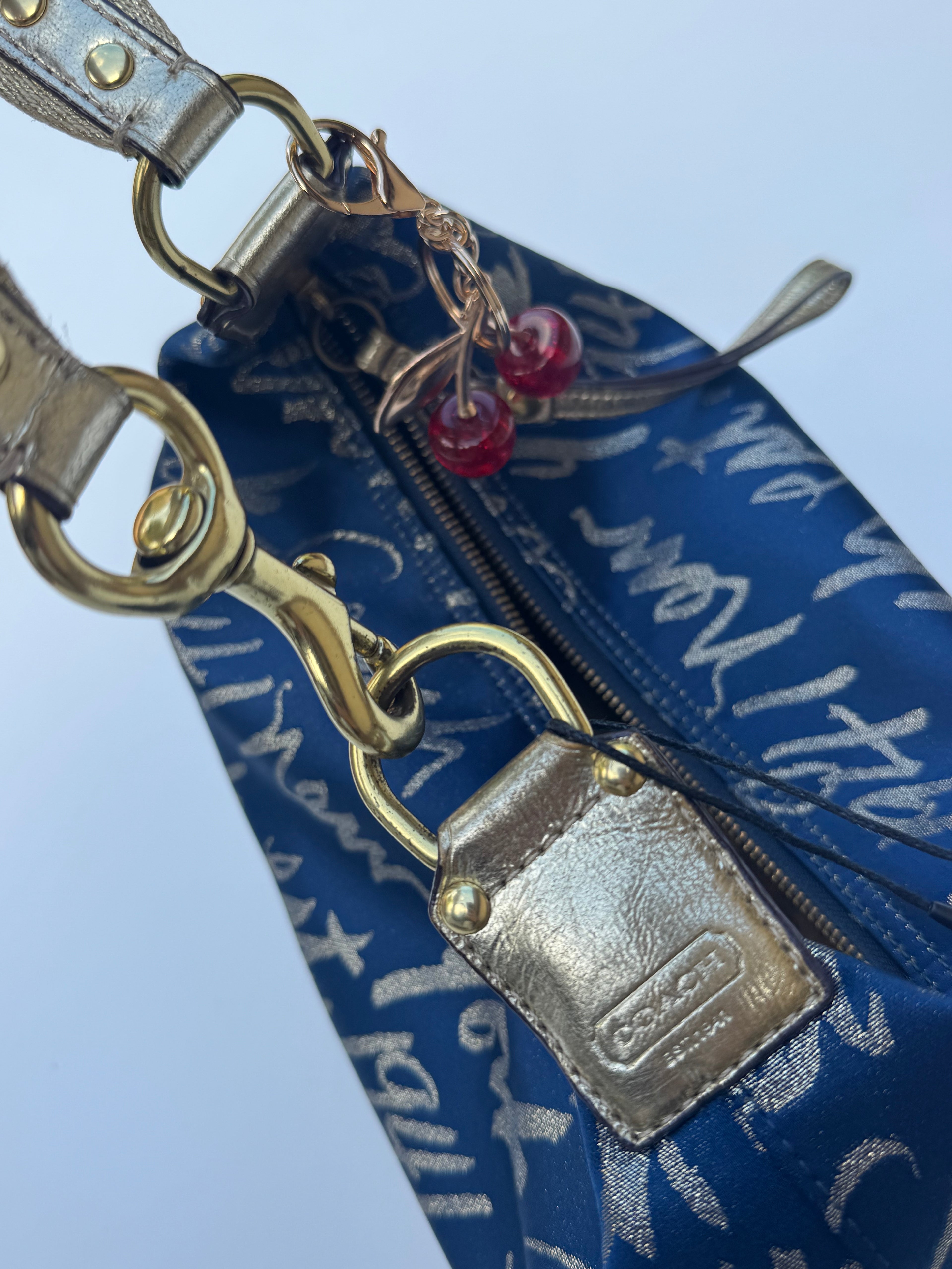 Vintage Coach x Poppy New York Hobo Bag