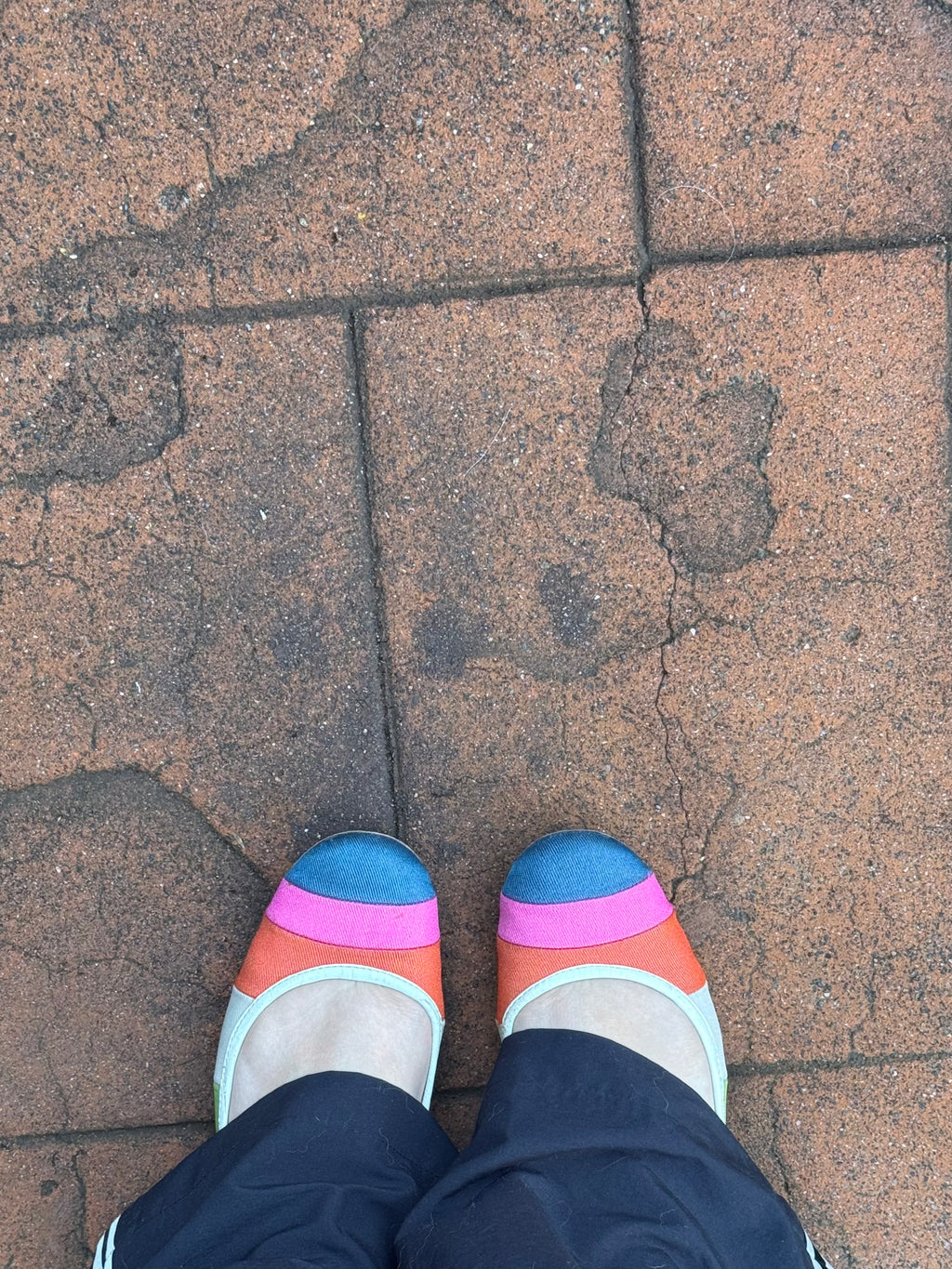 Vintage Multicoloured Coach Ballet Flats | 8US |