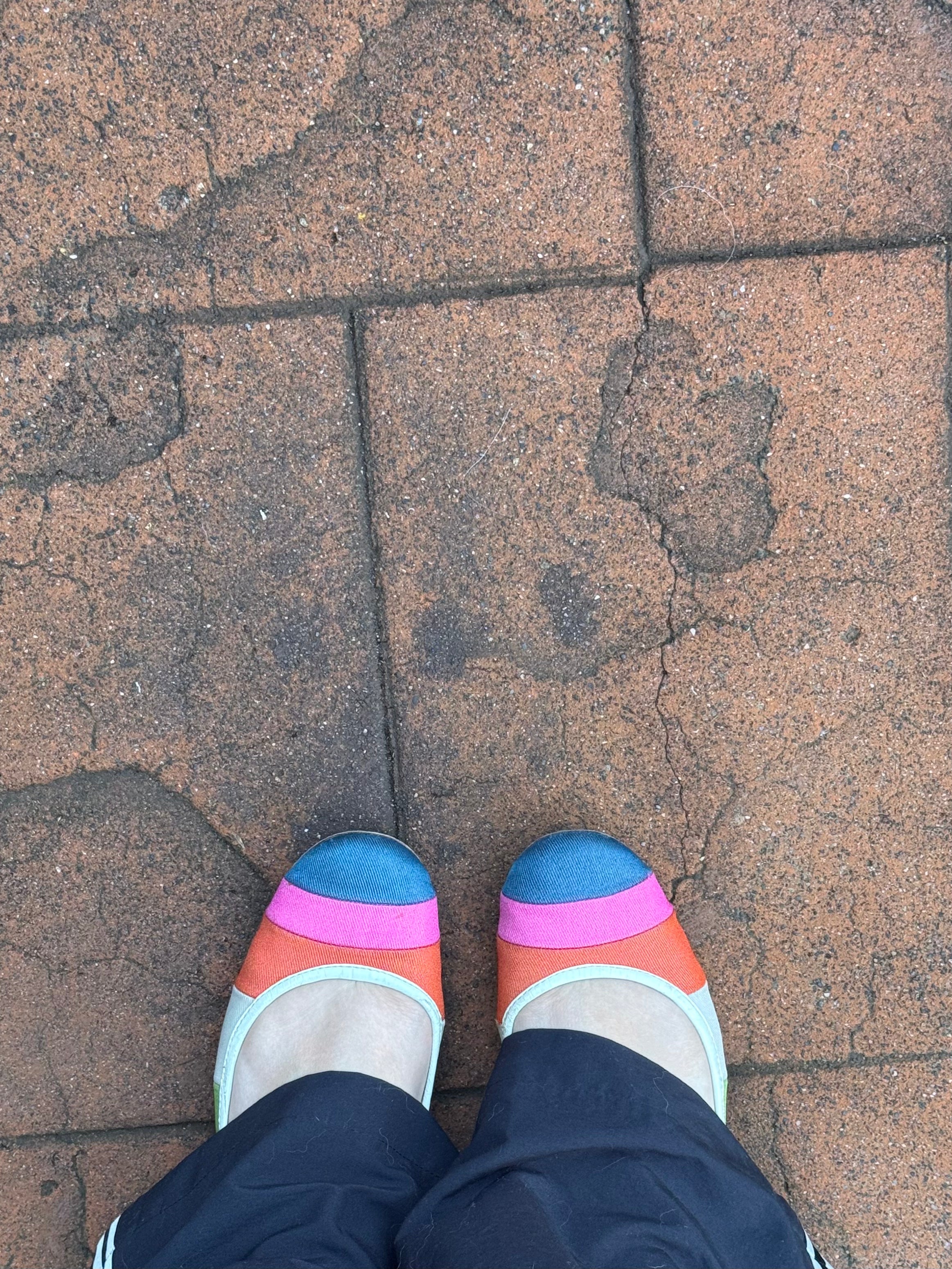Vintage Multicoloured Coach Ballet Flats | 8US |
