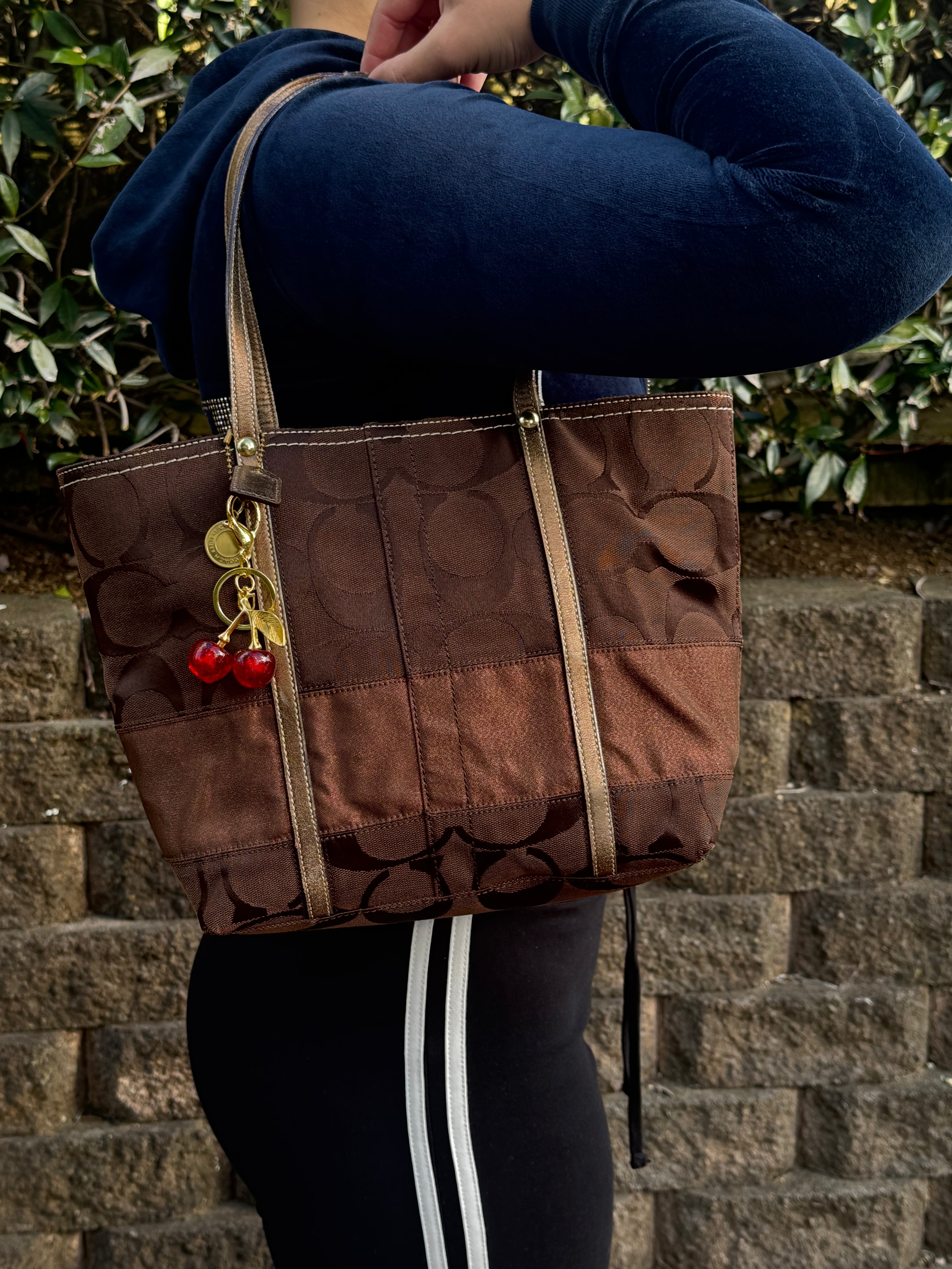 Vintage Coach Brown Small Tote Bag