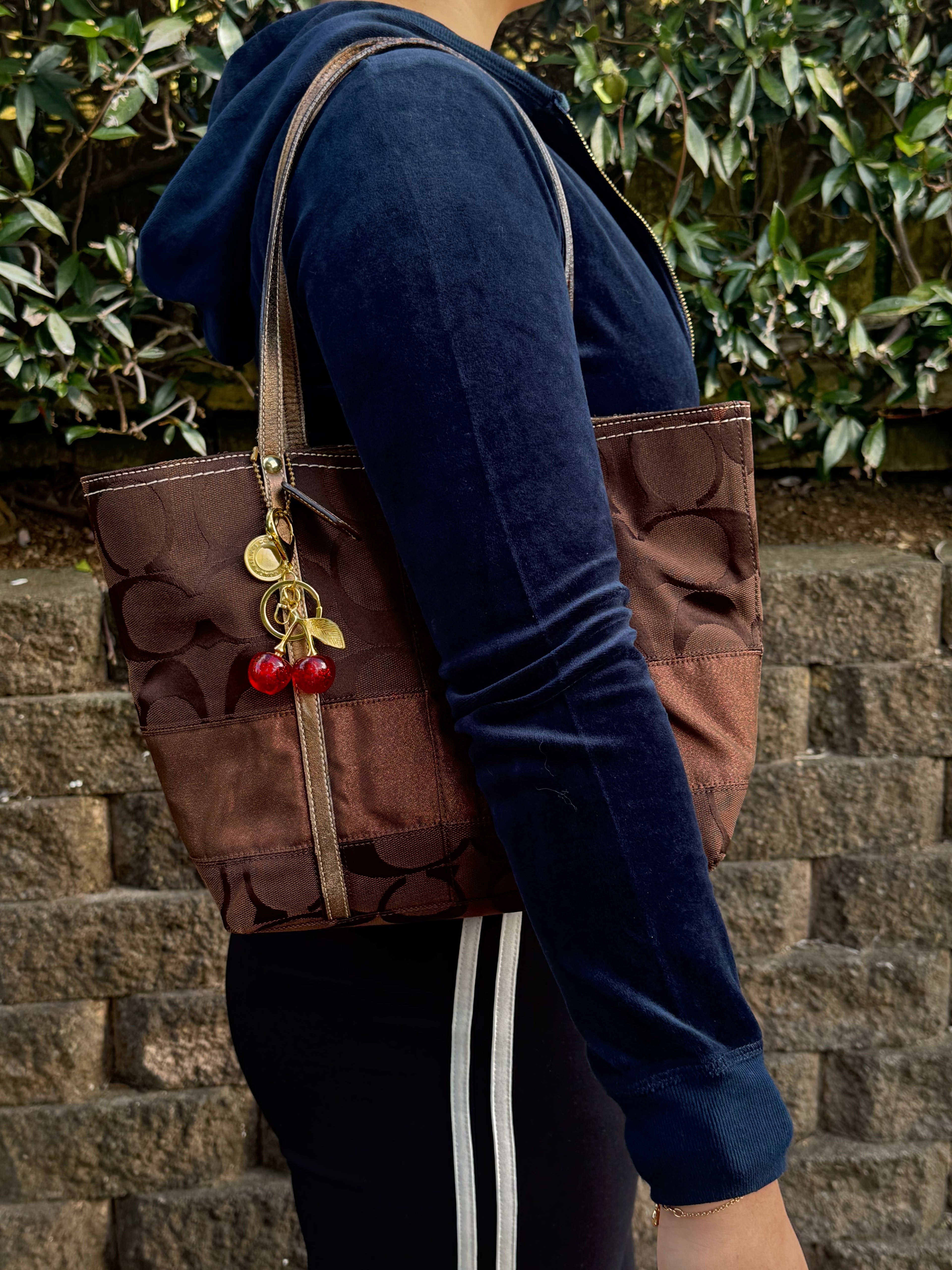 Vintage Coach Brown Small Tote Bag